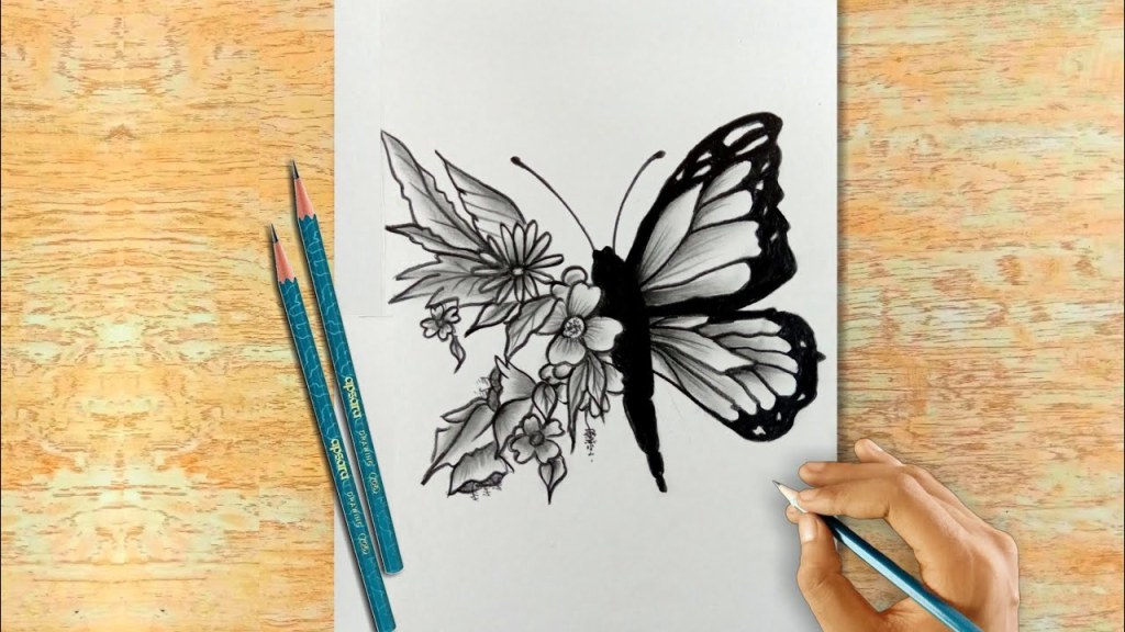 Picture of: Creative Butterfly Drawing  Easy Pencil Drawing for Beginners  Creative  Drawing Ideas  #